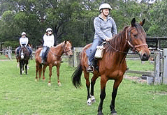 Valhalla Horse Riding - Tourism Cairns 2