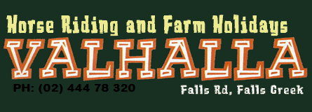 Valhalla Horse Riding - Tourism Cairns 4