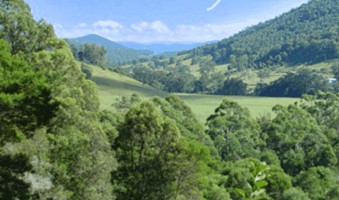 Blue Poles Gallery - Tourism Cairns 1