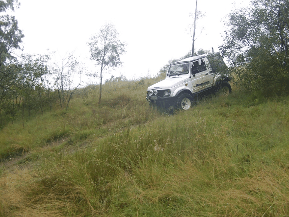 Scenic Rim Adventure Park - Tourism Cairns 1