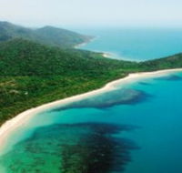 Jungle Tours and Trekking - Tourism Cairns