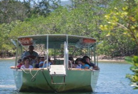 BTS Tours Pty Ltd - Tourism Cairns 1