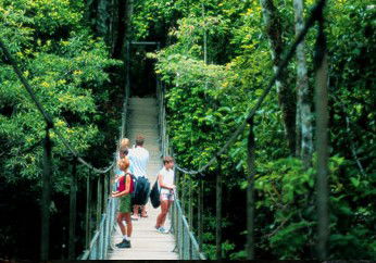 BTS Tours Pty Ltd - Tourism Cairns 4