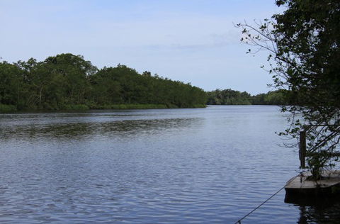 Daintree River Cruise Centre - Tourism Cairns 2