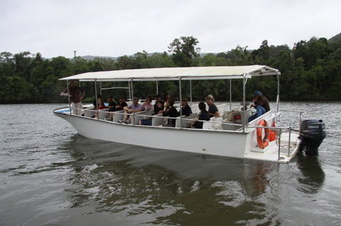 Daintree River Cruise Centre - Tourism Cairns 3