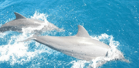 Tallship Adventures - thumb 3