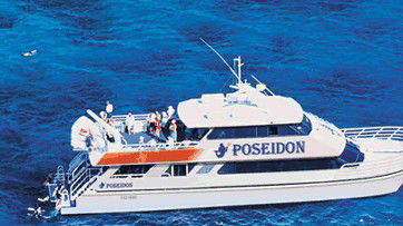 Poseidon Outer Reef Cruises - Tourism Cairns 4