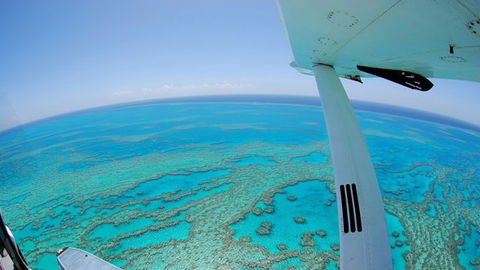 Air Whitsunday Day Tours - Tourism Cairns 0