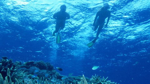 Air Whitsunday Day Tours - Tourism Cairns 1