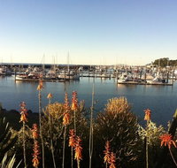 Mantaray Charters - Tourism Cairns