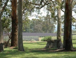 Cannon Creek QLD Tourism Cairns