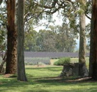Aloomba Lavender - Tourism Cairns