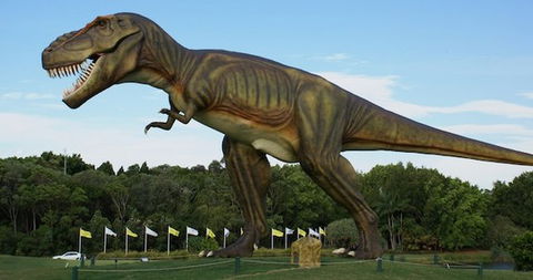 Palmersaurus Park - Tourism Cairns 1