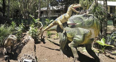 Palmersaurus Park - Tourism Cairns 5