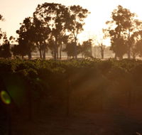 Evans  Tate - Tourism Cairns