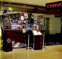 Cervo - Tourism Cairns