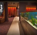 AB Hotel - Tourism Cairns