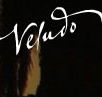 Veludo - Tourism Cairns
