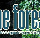 Forest Cafe  Bar - Tourism Cairns