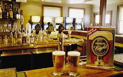 Regatta Bar - Log Cabin - Tourism Cairns 1