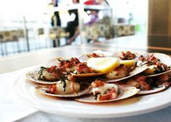 Salt Bar And Restaurant - Tourism Cairns 1