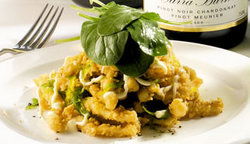 Alfred Hotel - Tourism Cairns 2