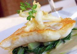 Captain Cook Tavern - Tourism Cairns 2