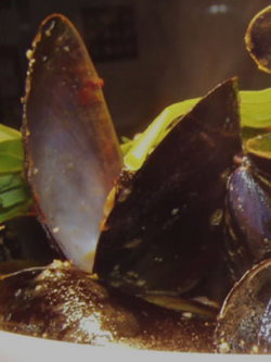 Apple Bar - Tourism Cairns 3