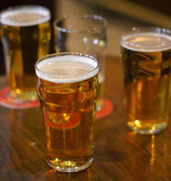 Hotel Unilodge - Sydney - Tourism Cairns 2