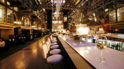 Ovolo Woolloomooloo - Tourism Cairns 3