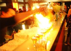 Salt Bar And Restaurant - Tourism Cairns 3