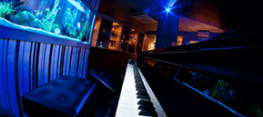 Saks Restaurant & Bar - Tourism Cairns 2