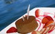 Noosa Cruising Restaurant - thumb 1