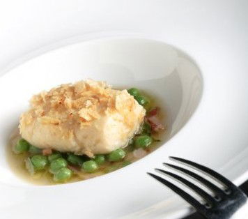 Absynthe Restaurant - Tourism Cairns 3