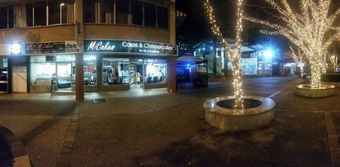 The Golden Joy - Tourism Cairns 4