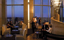 Blu Horizons Bar - Tourism Cairns 0