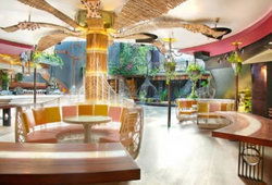 Cloudland - Tourism Cairns 1