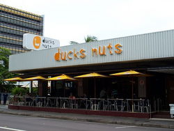 Ducks Nuts Bar & Grill - Tourism Cairns 2