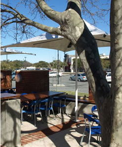 Lakers Tavern - Tourism Cairns 3