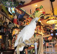A Friend In Hand - Tourism Cairns
