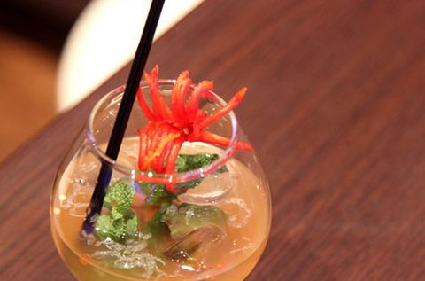 Digress Restaurant And Lounge - Tourism Cairns 4