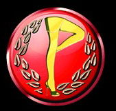 Players Showgirls - Tourism Cairns