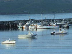 Apollo Bay VIC Tourism Cairns