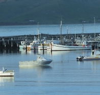 The Apollo Bay Hotel - Tourism Cairns