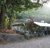 Ellis Beach Bar  Grill - Tourism Cairns