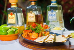 Greenant Cantina - Tourism Cairns 0