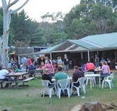 Bush Shack Brewery - Tourism Cairns