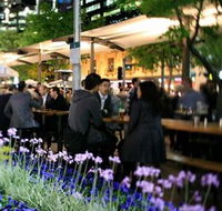 Quay Bar - Tourism Cairns