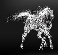 The White Horse - Tourism Cairns
