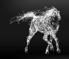 The White Horse - Tourism Cairns 0
